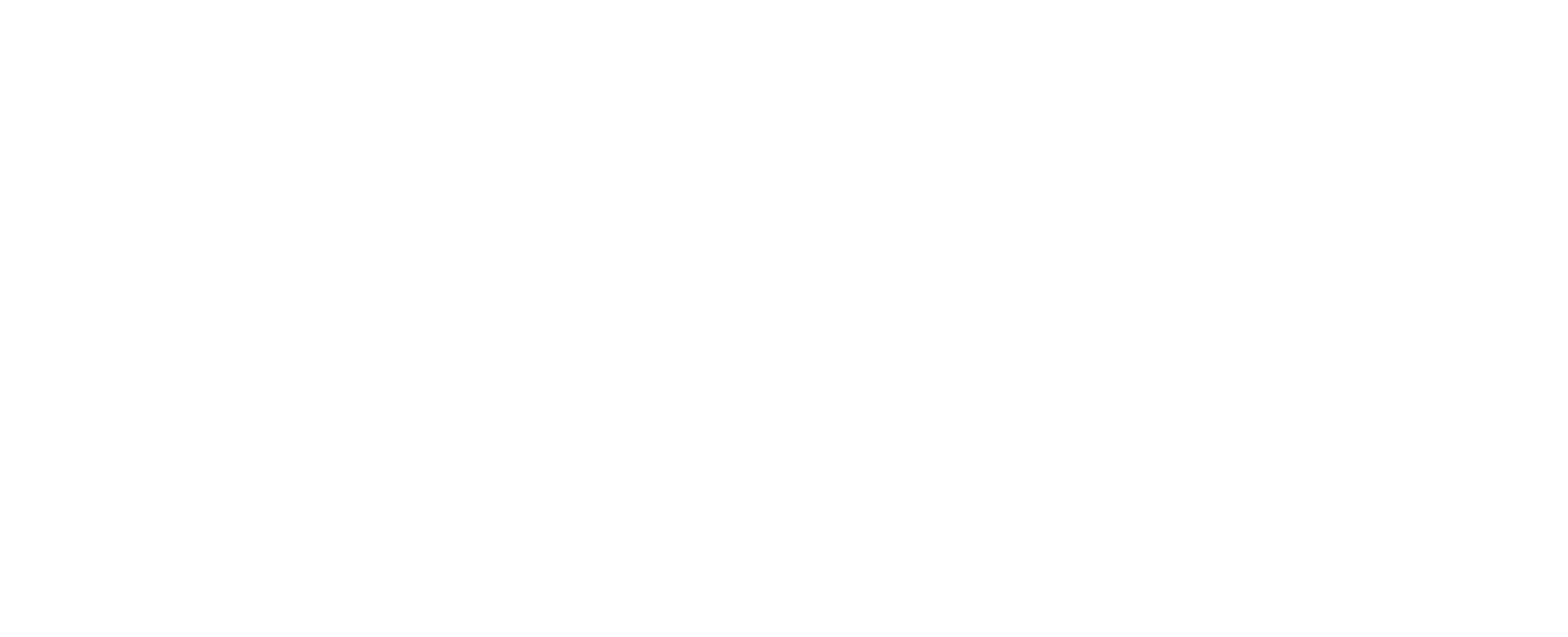 Stolt logo in white